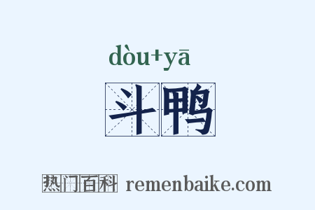 斗鸭是什么意思的图片